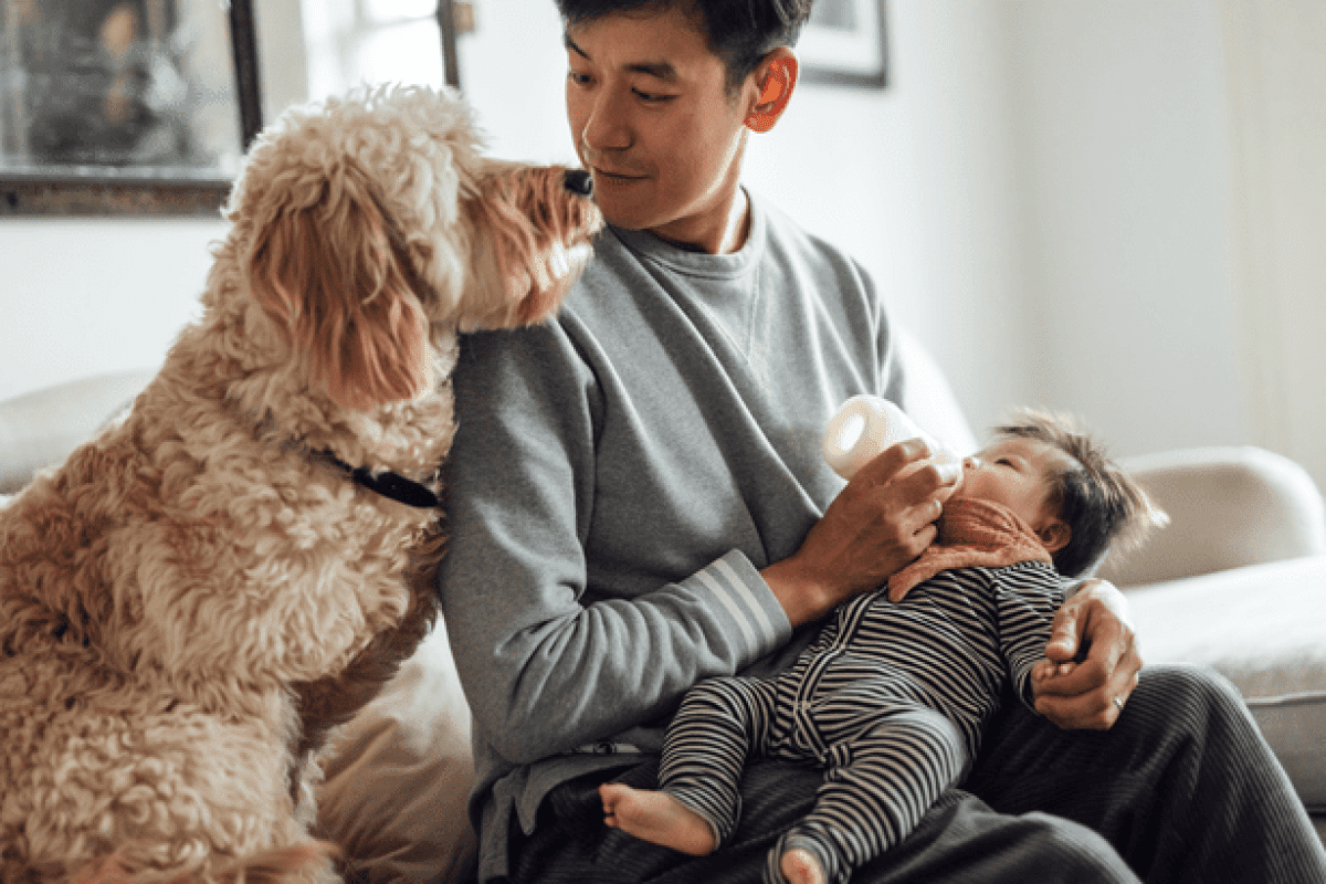 20241225-The-Personal-Joys-of-Having-a-Home-To-Call-Your-Own-original